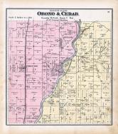 Orono and Cedar Townships, Port Allen, Conesville, Muscatine County 1874